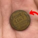Lincoln Wheat Penny Valued at $170K